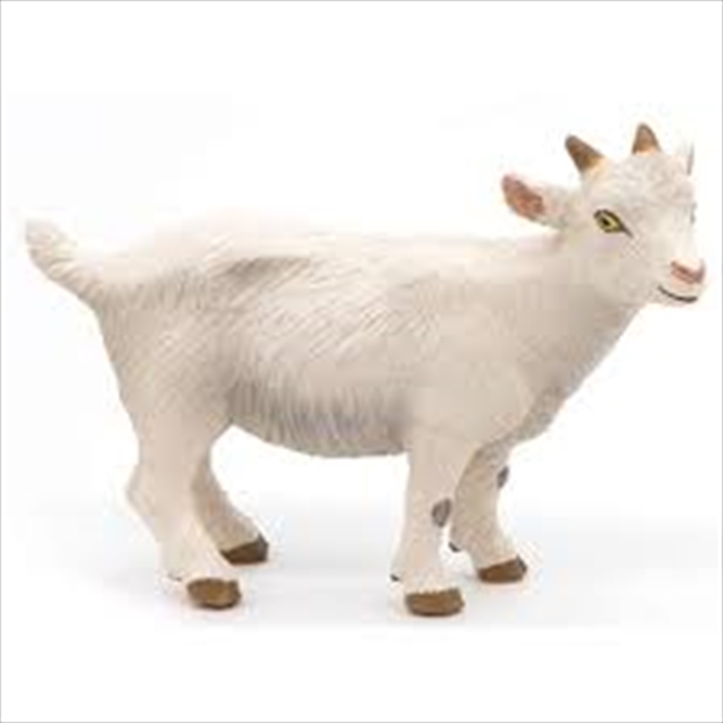 Papo - White kid goat Figurine/Product Detail/Figurines