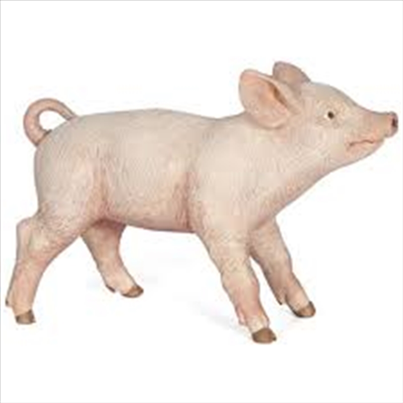 Papo - Female piglet Figurine/Product Detail/Figurines