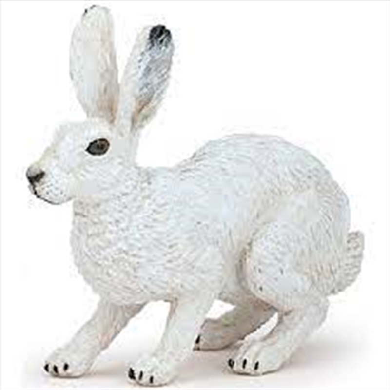 Papo - Arctic hare Figurine/Product Detail/Figurines