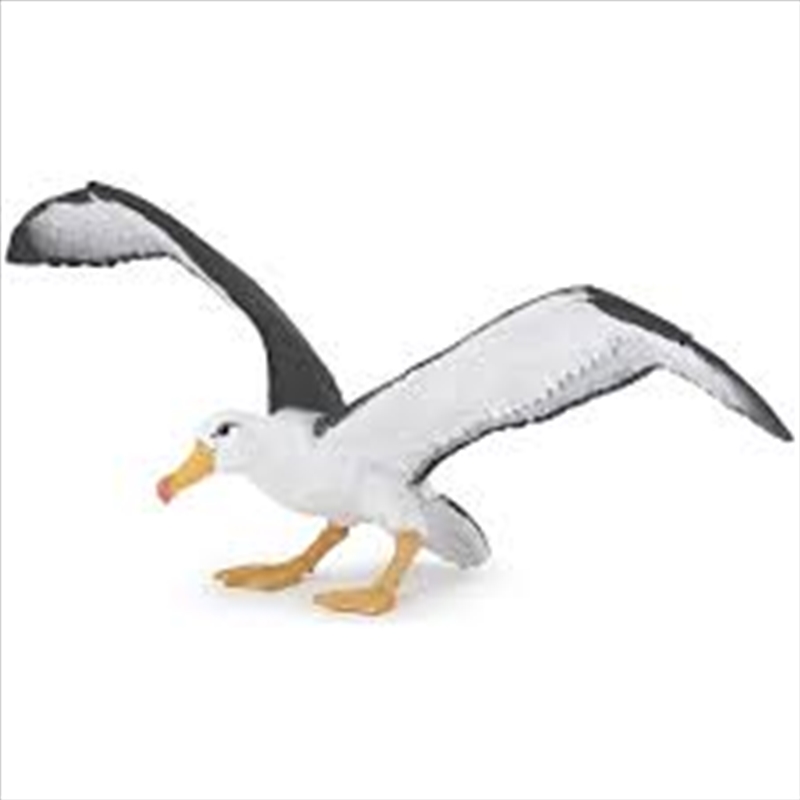Papo - Albatross Figurine/Product Detail/Figurines
