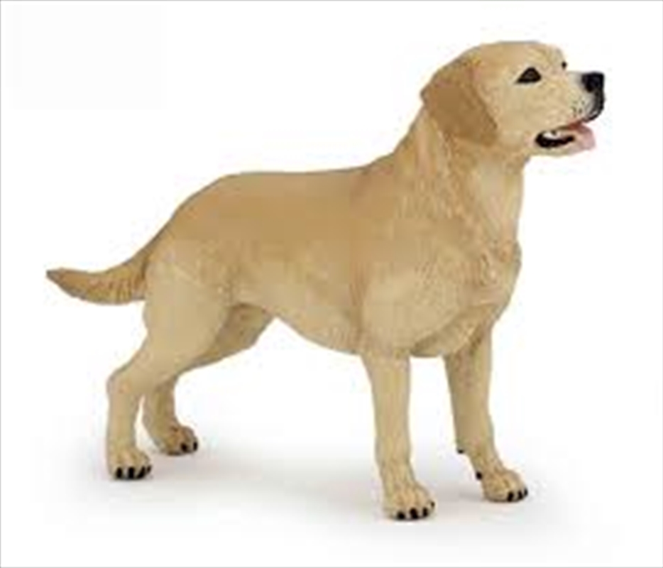 Papo - Labrador Figurine/Product Detail/Figurines