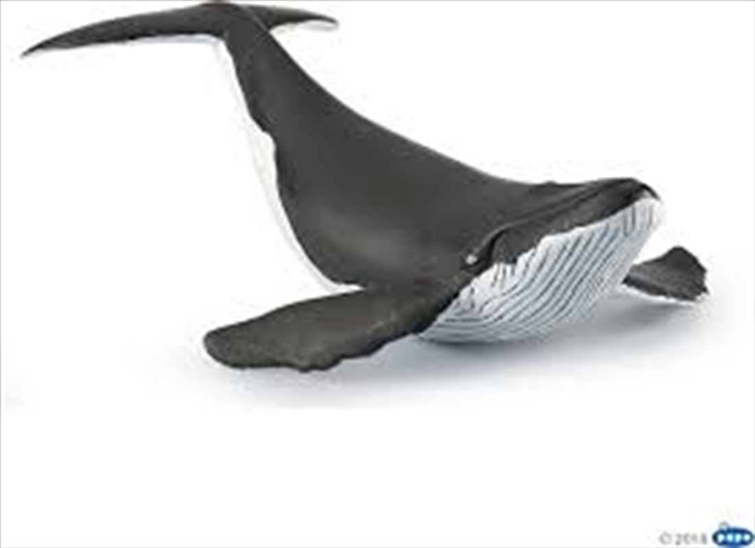 Papo - Whale calf Figurine/Product Detail/Figurines