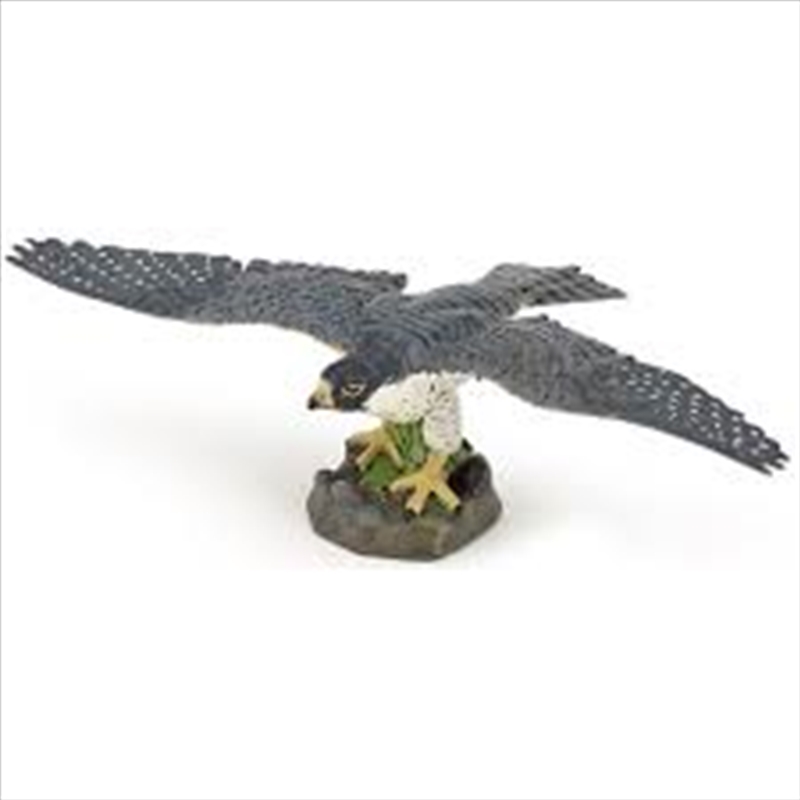 Papo - Hawk Figurine/Product Detail/Figurines