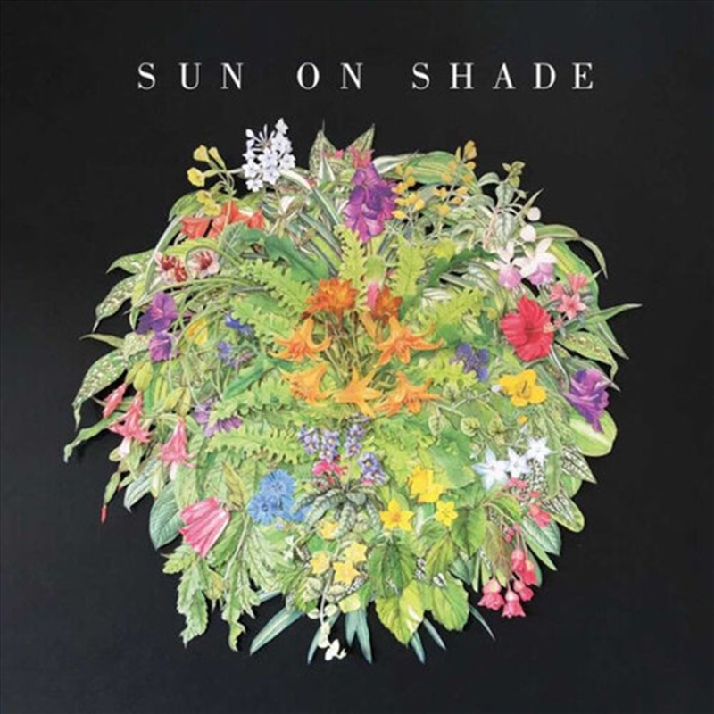 Sun On Shade/Product Detail/Rock/Pop