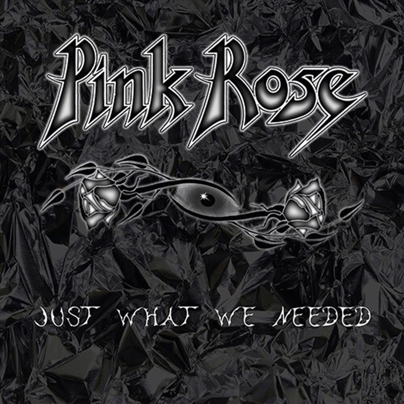 Just What We Needed/Product Detail/Rock/Pop