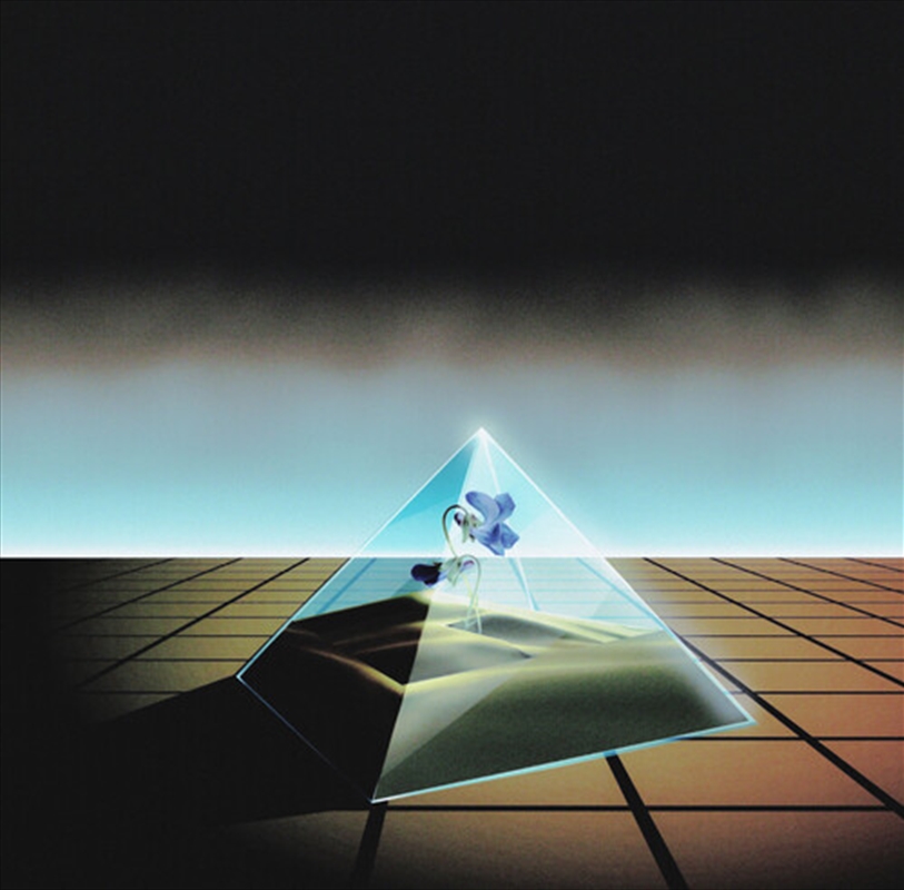 Visions Of A Sic World/Product Detail/Rap