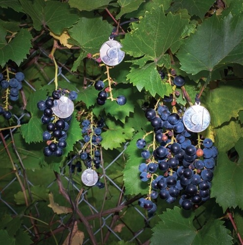 Presents/Product Detail/Jazz