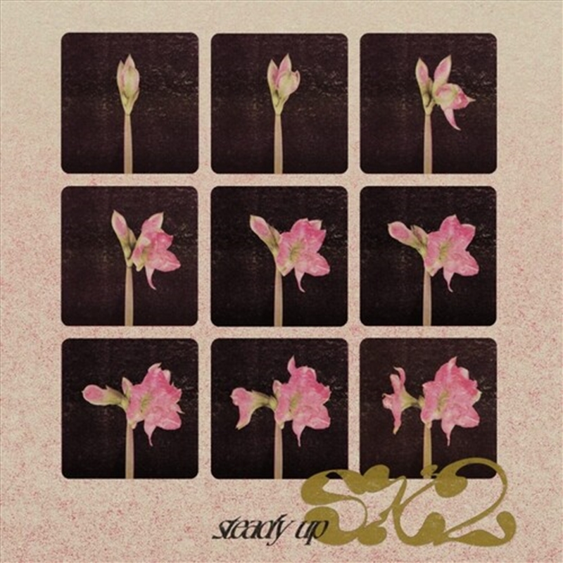 Steady Up/Product Detail/Dance