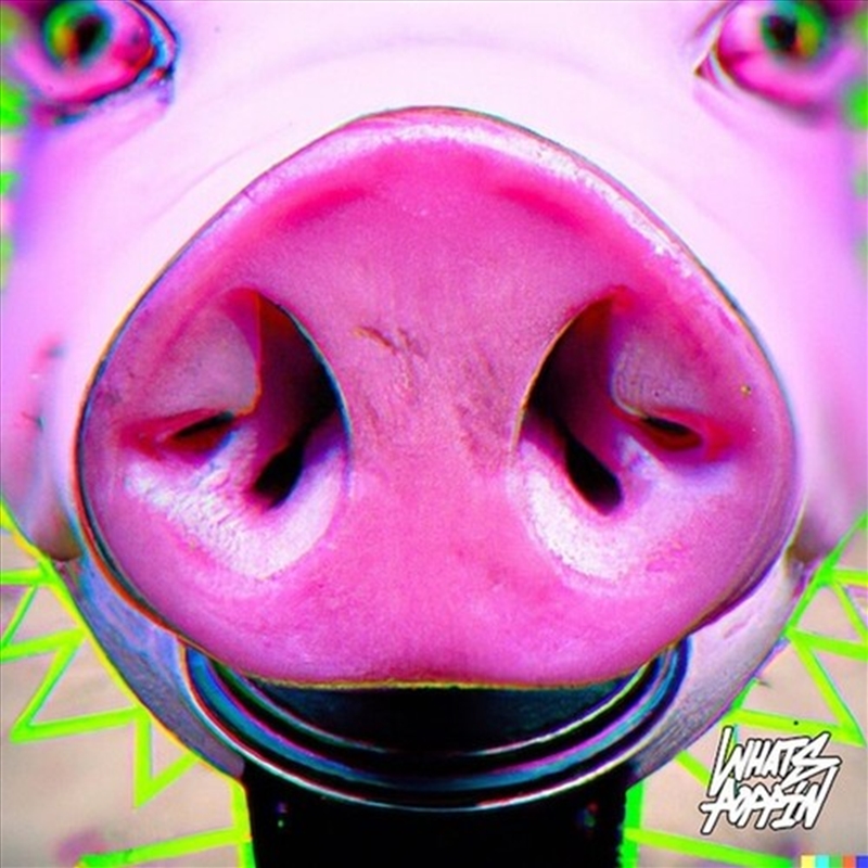 Let Me Show You / Techno Cat/Product Detail/Dance