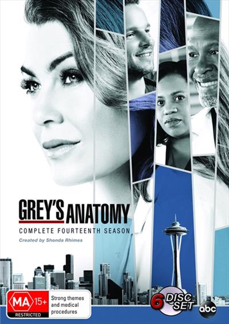Grey's Anatomy - Season 14/Product Detail/Drama