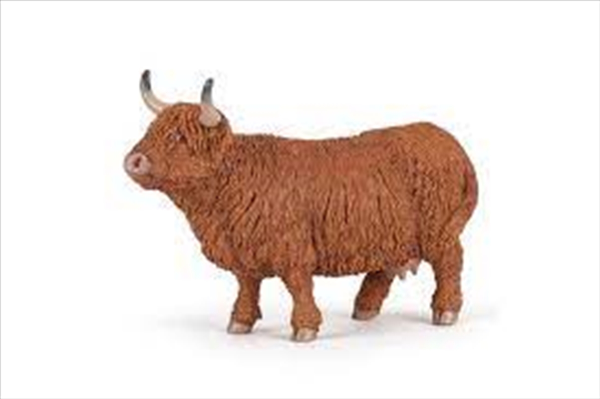 Papo - Highland cattle Figurine/Product Detail/Figurines
