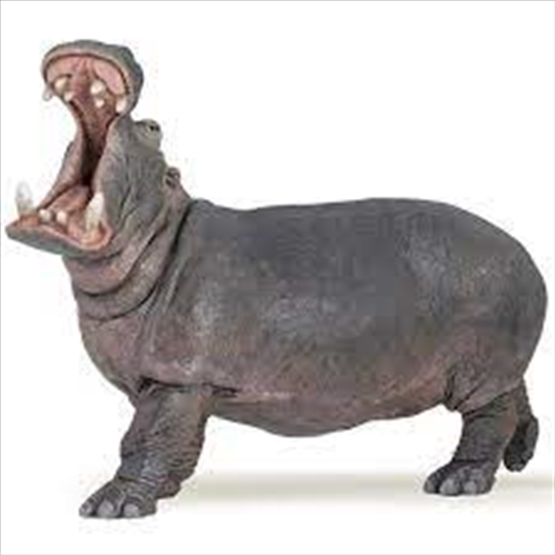 Papo - Hippopotamus Figurine/Product Detail/Figurines