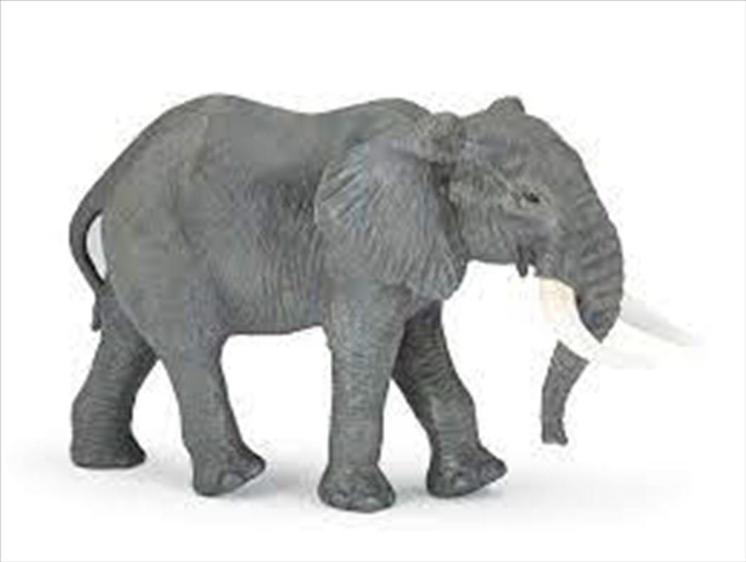 Papo - Large African elephant Figurine/Product Detail/Figurines