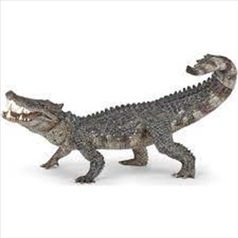 Papo - Kaprosuchus Figurine/Product Detail/Figurines