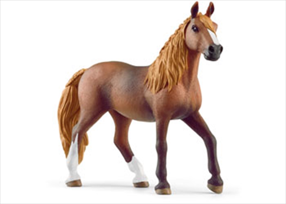 Peruvian Paso Mare/Product Detail/Toys