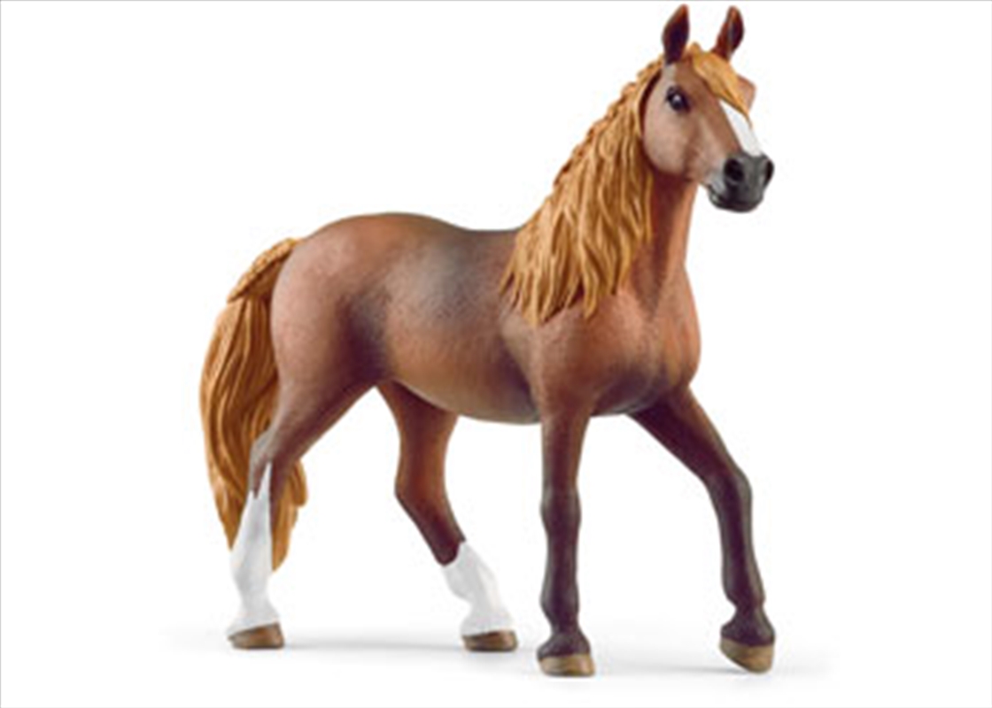 Peruvian Paso Mare/Product Detail/Toys