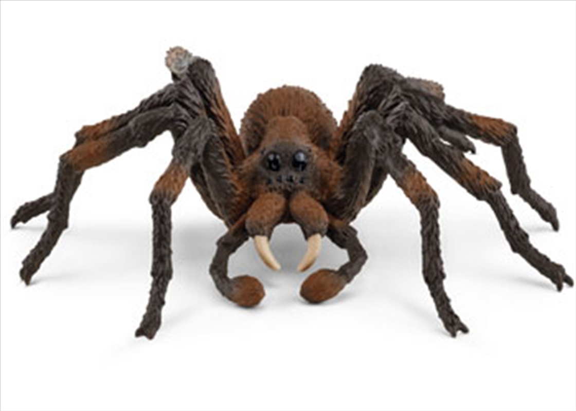 Wizarding World Aragog/Product Detail/Toys
