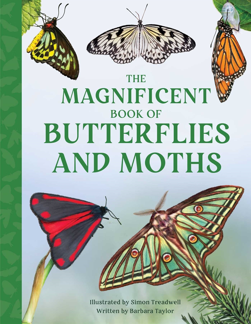 Magnificent Book of Butterflies and Moths/Product Detail/Childrens Fiction Books