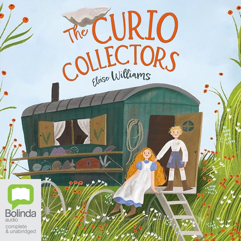 Curio Collectors, The/Product Detail/Childrens Fiction Books