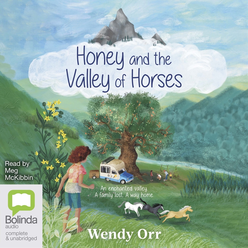 Honey and the Valley of Horses/Product Detail/Childrens Fiction Books