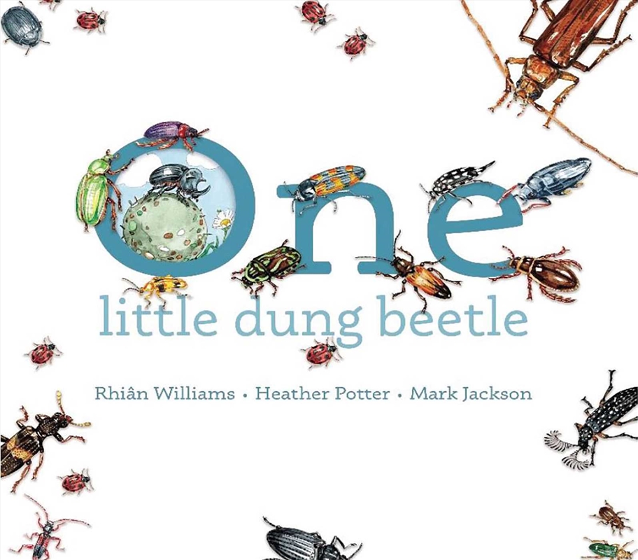 One Little Dung Beetle/Product Detail/Early Childhood Fiction Books