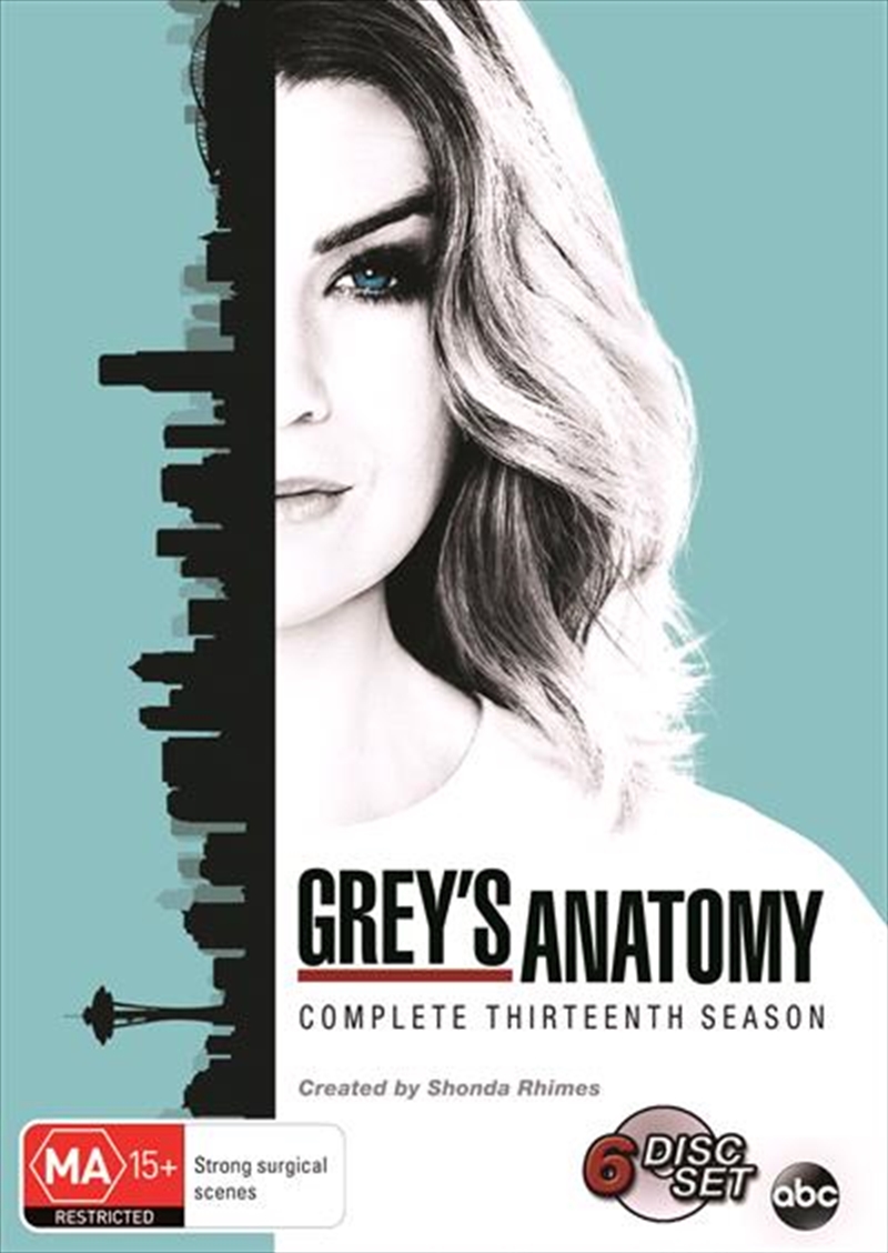 Grey's Anatomy - Season 13/Product Detail/Drama