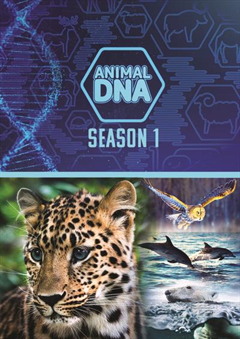 Animal DNA: Season One/Product Detail/Documentary