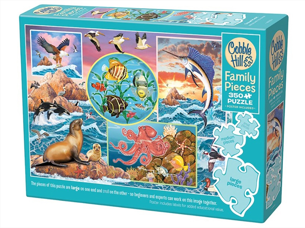 Ocean Magic 350 Piece Family/Product Detail/Jigsaw Puzzles