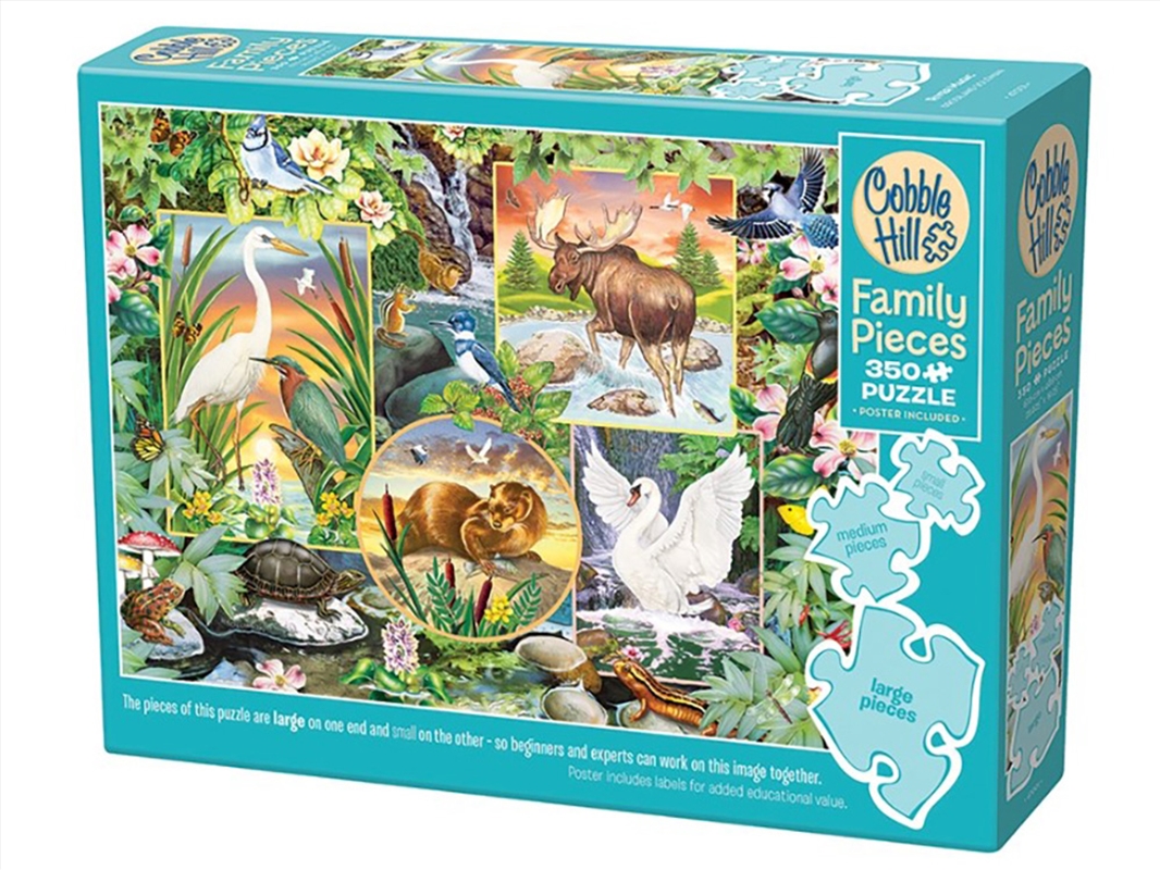 River Magic 350 Piece Family/Product Detail/Jigsaw Puzzles