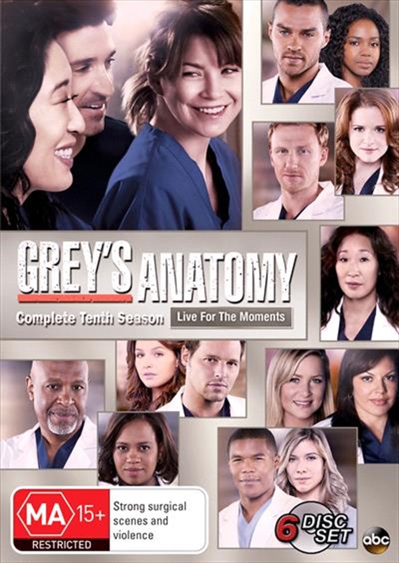 Grey's Anatomy - Season 10/Product Detail/Drama