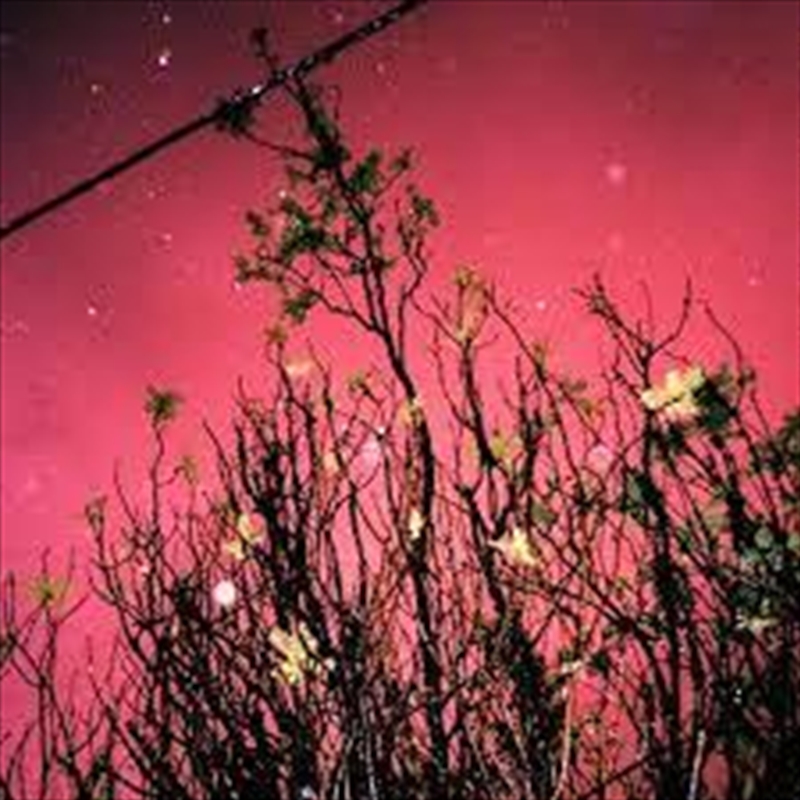 I Thought This Was My Dream/Mo/Product Detail/Metal