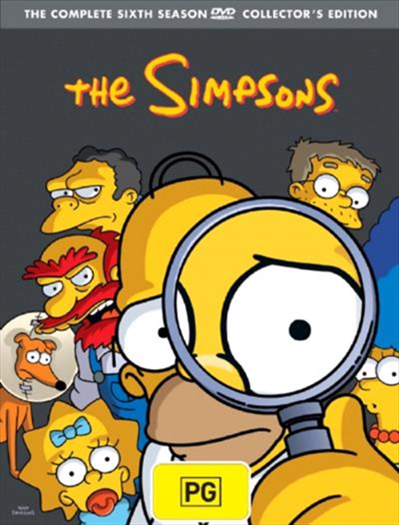 Simpsons, The - Season 06 DVD Box Set/Product Detail/Animated