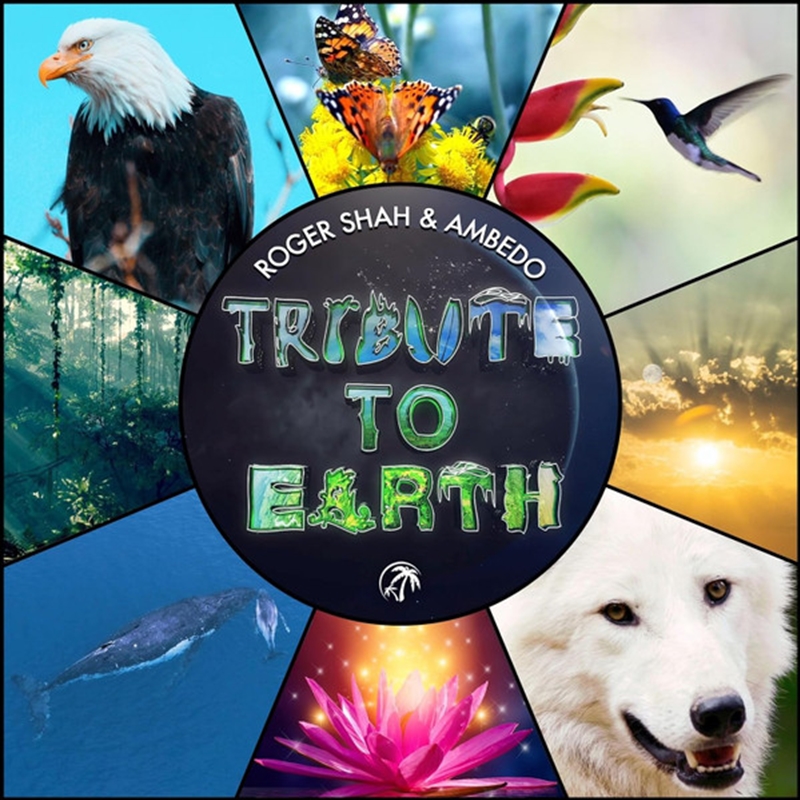 Tribute To Earth/Product Detail/Dance