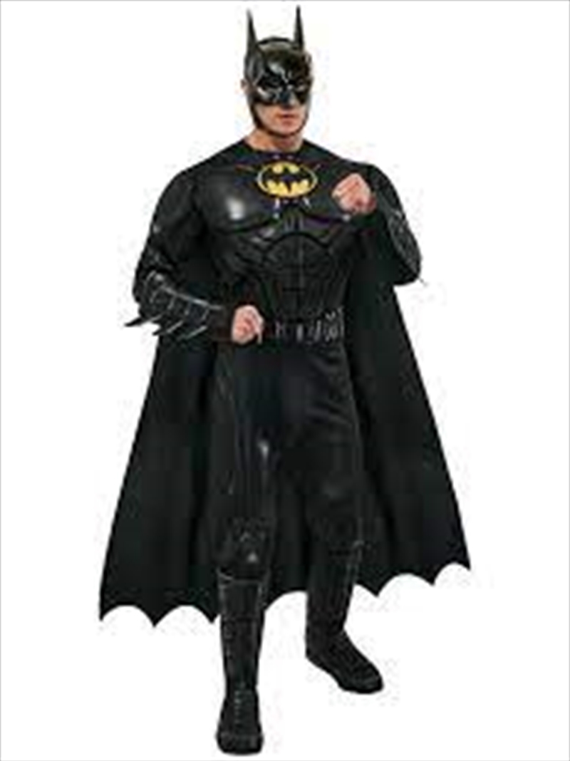 Batman (Keaton) Deluxe Costume (The Flash)- Size L/Product Detail/Costumes