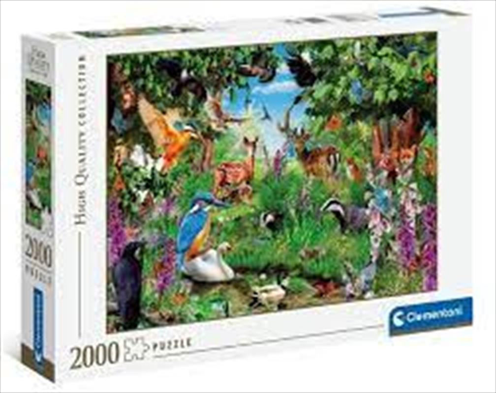 Fantastic Forest 2000 Piece/Product Detail/Jigsaw Puzzles