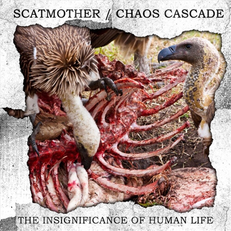 Insignificance Of Human Life/Product Detail/Rock/Pop