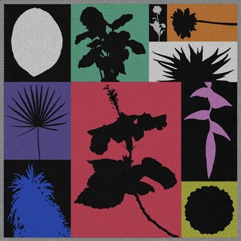 Demi-Monde/Product Detail/Dance