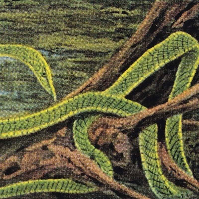 Green Graves/Product Detail/Rock/Pop