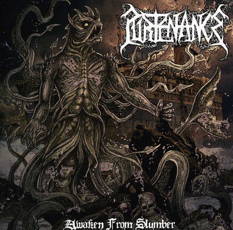 Awaken From Slumber/Product Detail/Rock/Pop