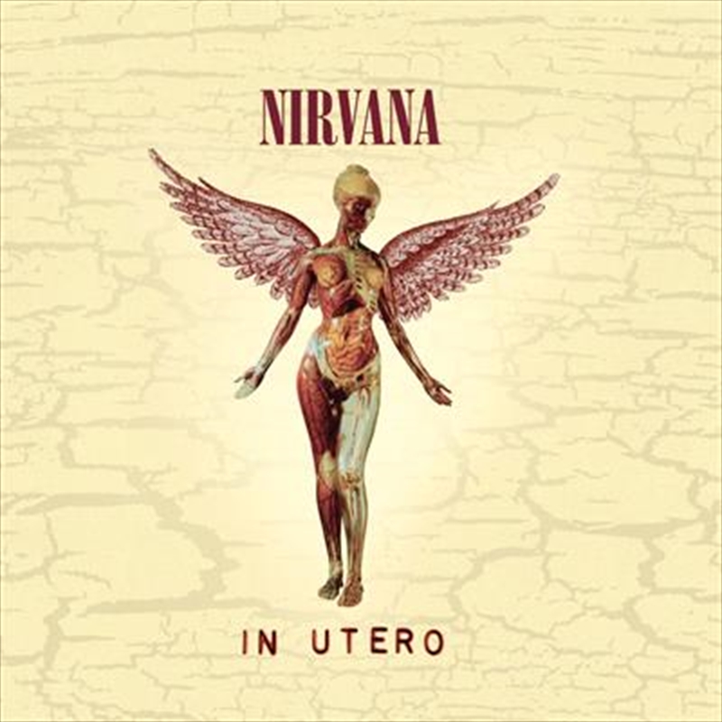 In Utero - 30th Anniversary Super Deluxe Edition Vinyl Boxset/Product Detail/Rock/Pop
