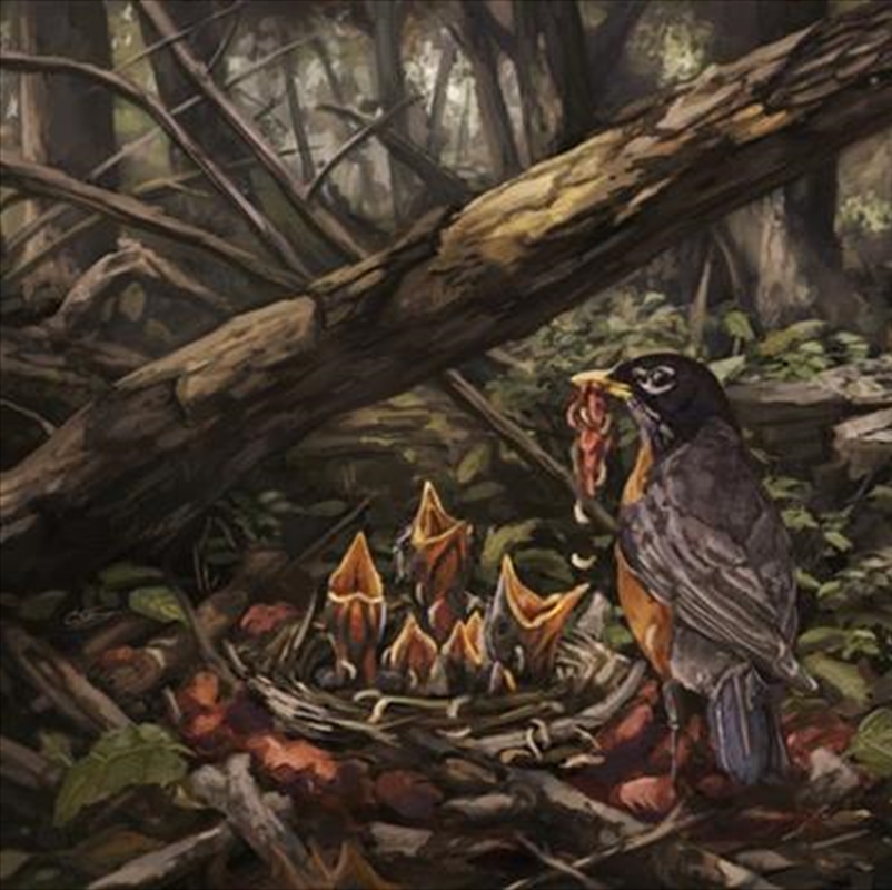 Step Into The Light/Product Detail/Metal