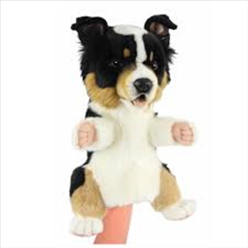 Kelpie Puppy Dog Puppet 31cm/Product Detail/Toys