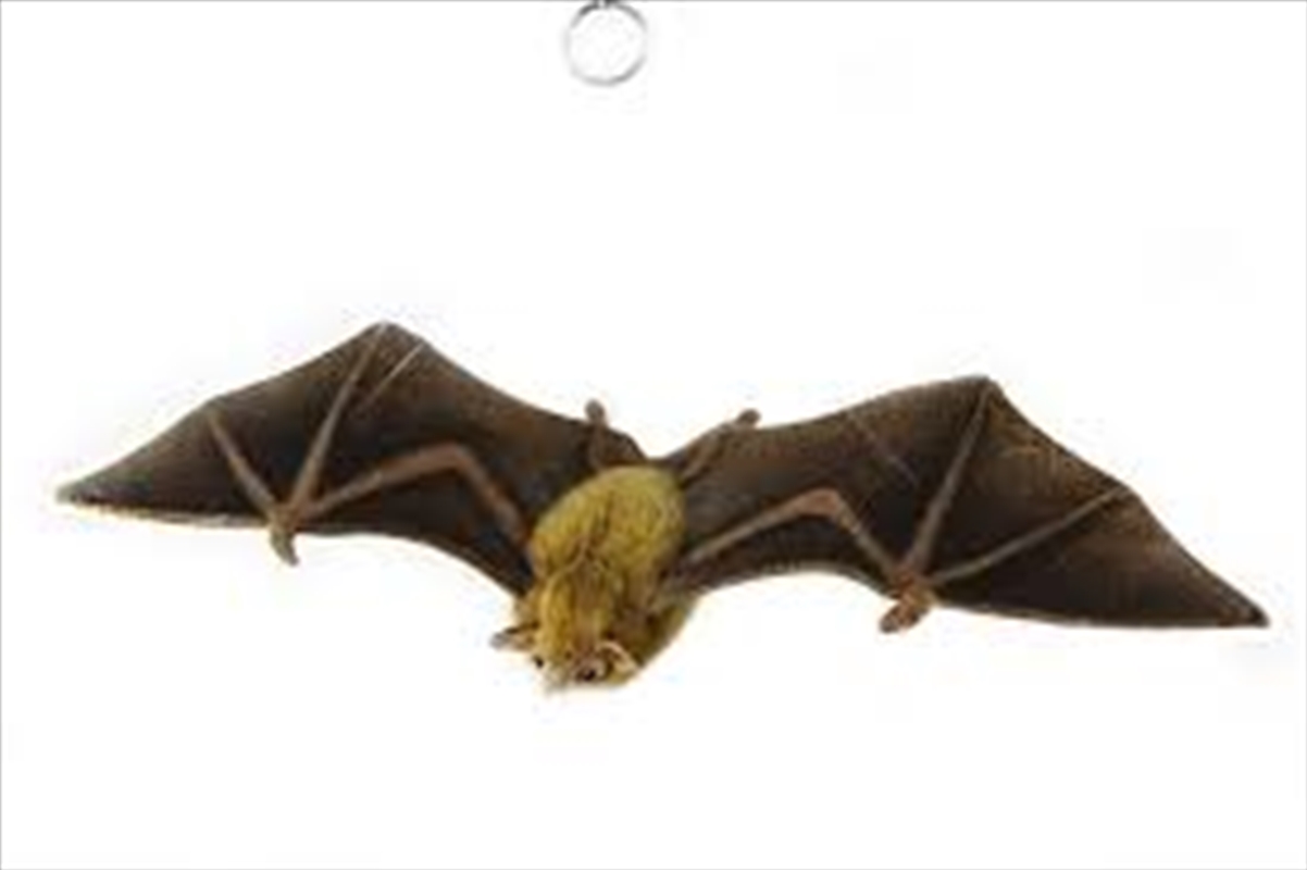 Orange Nectar Bat 42cm/Product Detail/Plush Toys