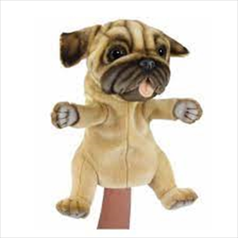 Pug Puppet/Product Detail/Toys