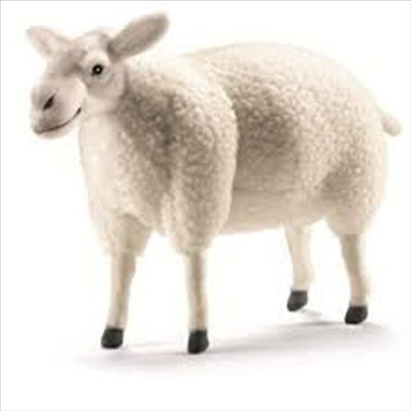 Sheep Grey 35cm/Product Detail/Plush Toys