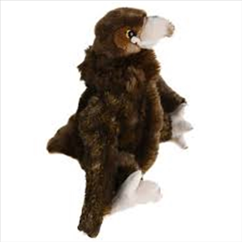 Wedge Tailed Eagle 30cm L/Product Detail/Plush Toys