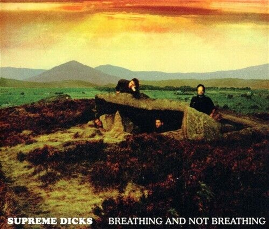 Breathing And Not Breathing/Product Detail/Rock/Pop
