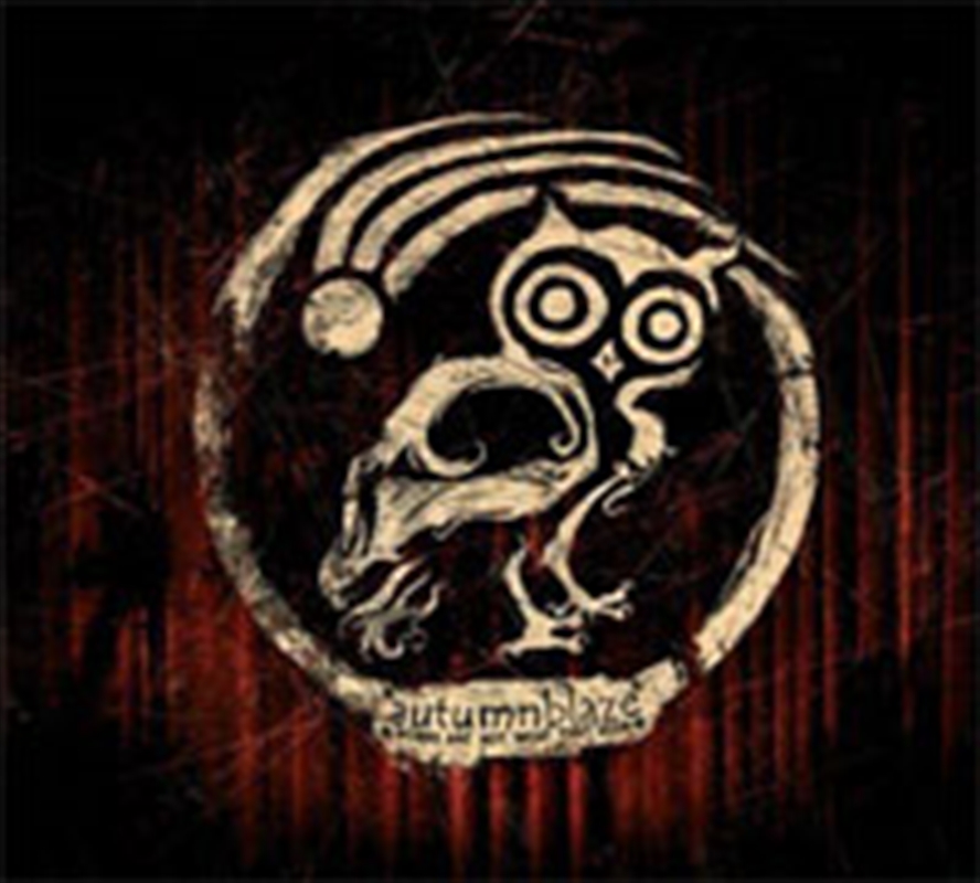 Words Are Not What They (Ltd)/Product Detail/Rock/Pop