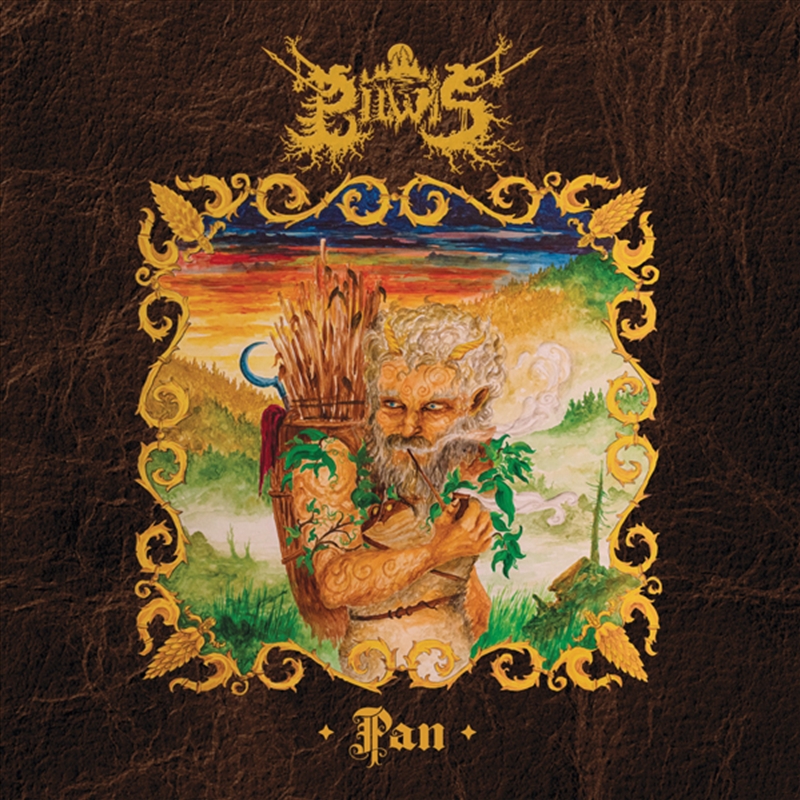 Pan (Ltd.Digi)/Product Detail/Metal