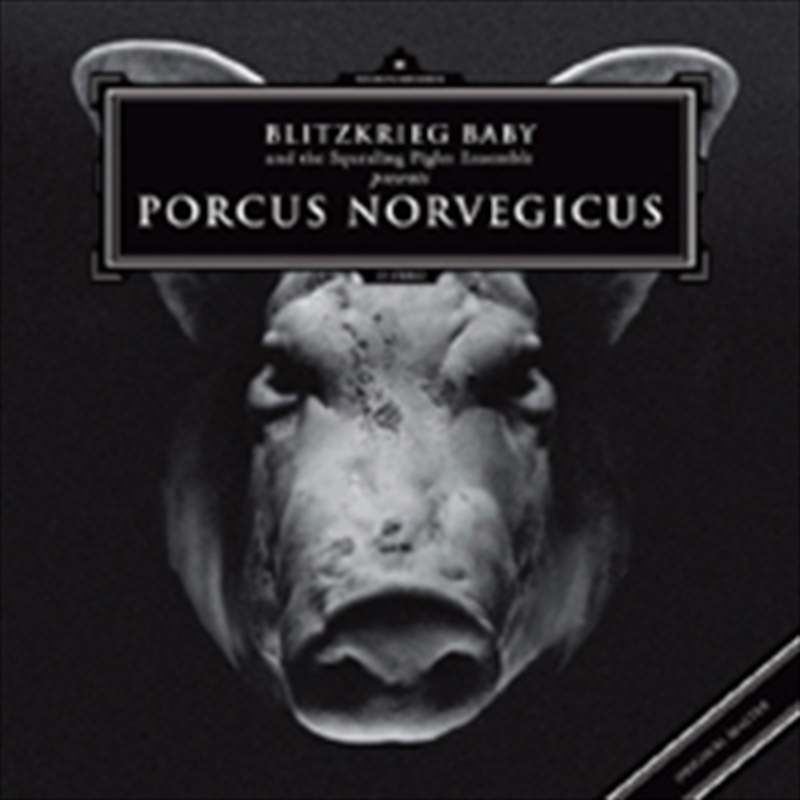 Porcus Norvegicus/Product Detail/Rock/Pop